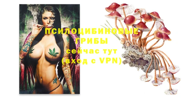 кокаин премиум Бородино